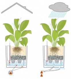 Lechuza® Cube Premium Planters -Gardeners Sale Shop 8597506 05V tif
