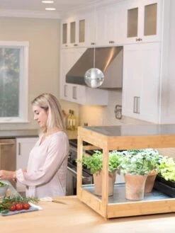 Low Bamboo LED Grow Light Garden 22 Low Bamboo LED Grow Light Garden -Gardeners Sale Shop 8597720 0816 tif