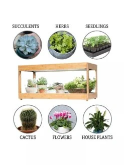 Low Bamboo LED Grow Light Garden 17 Low Bamboo LED Grow Light Garden -Gardeners Sale Shop 8597720 3