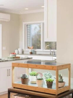 Low Bamboo LED Grow Light Garden 21 Low Bamboo LED Grow Light Garden -Gardeners Sale Shop 8597720 9385 tif