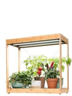 Medium Bamboo LED Grow Light Garden 26 Medium Bamboo LED Grow Light Garden -Gardeners Sale Shop 8597883 1013 tif