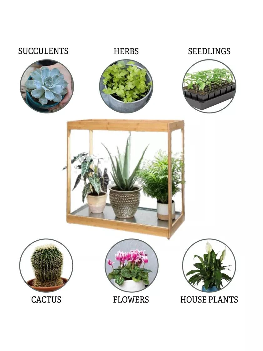 Medium Bamboo LED Grow Light Garden 6 Medium Bamboo LED Grow Light Garden - Image 6