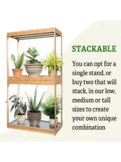 Medium Bamboo LED Grow Light Garden 20 Medium Bamboo LED Grow Light Garden -Gardeners Sale Shop 8597883 6