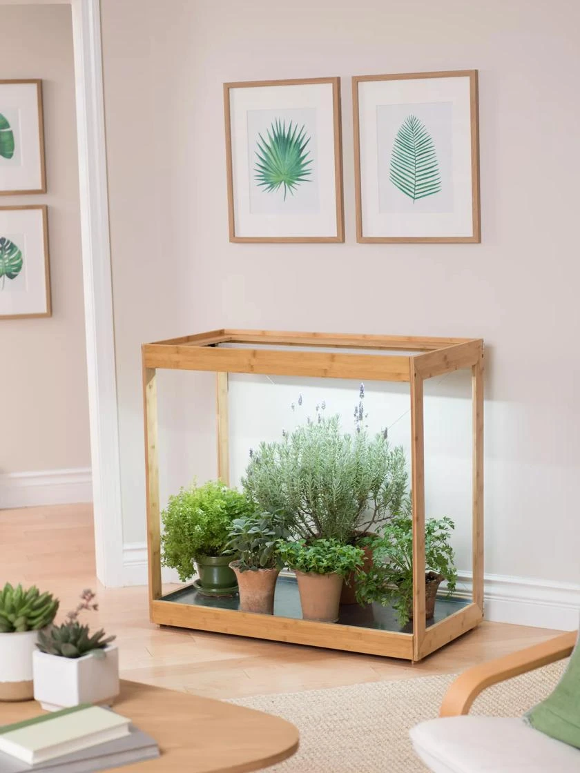 Medium Bamboo LED Grow Light Garden 13 Medium Bamboo LED Grow Light Garden - Image 13