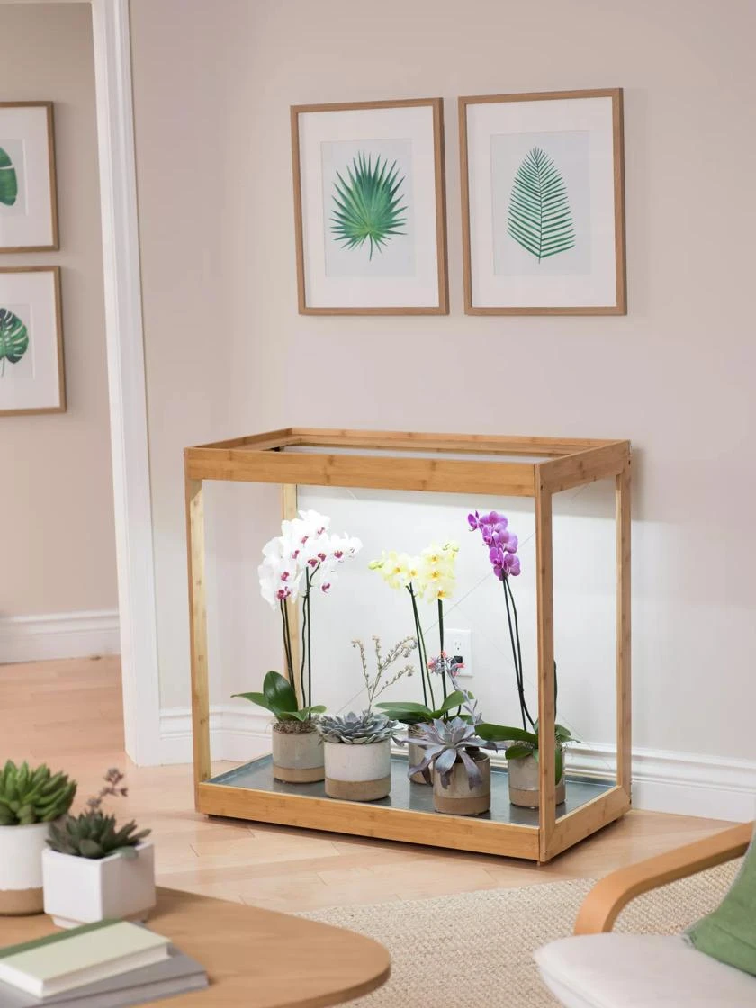 Medium Bamboo LED Grow Light Garden 8 Medium Bamboo LED Grow Light Garden - Image 8