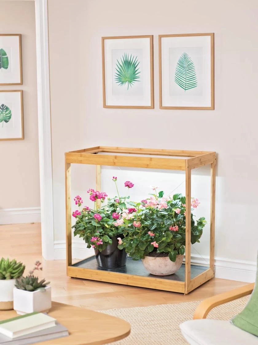 Medium Bamboo LED Grow Light Garden 9 Medium Bamboo LED Grow Light Garden - Image 9