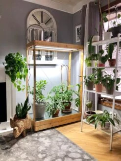 Tall Bamboo LED Grow Light Garden -Gardeners Sale Shop 8597884 01IN tif