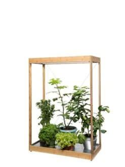 Tall Bamboo LED Grow Light Garden -Gardeners Sale Shop 8597884 7103 tif
