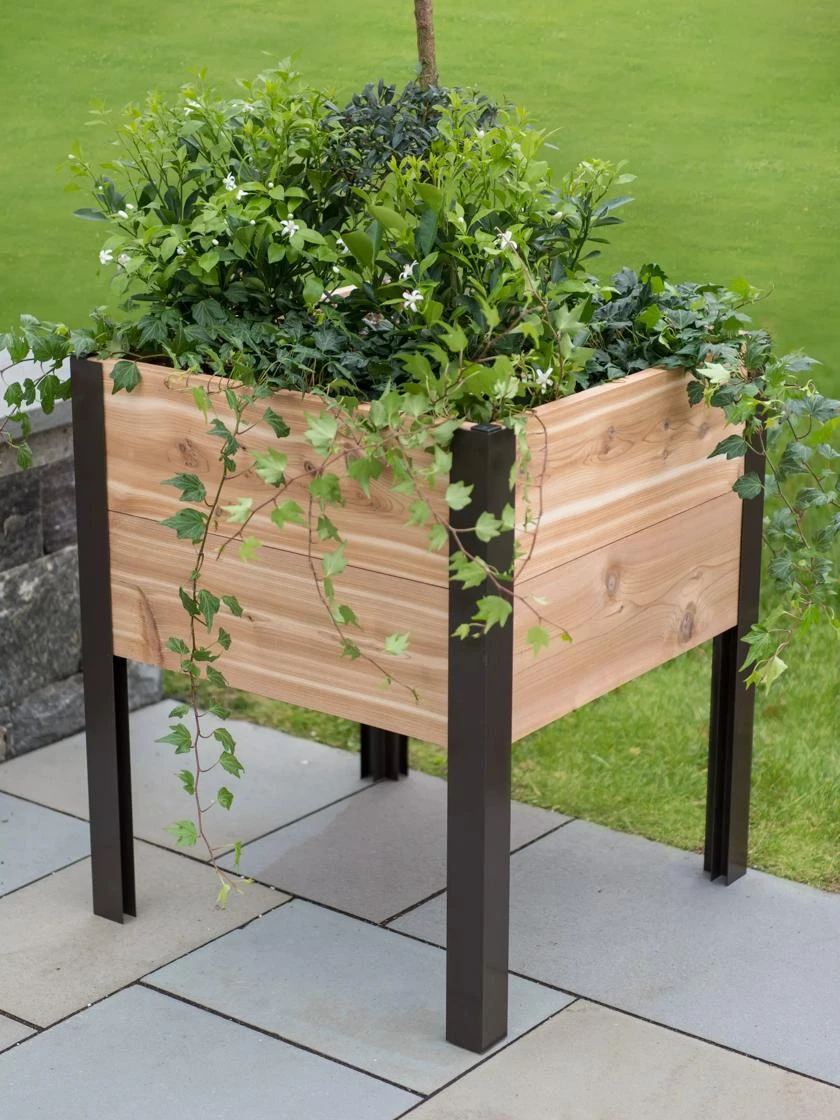 Elevated Cedar Planter Box, 2' X 2' 1 Elevated Cedar Planter Box, 2' X 2'