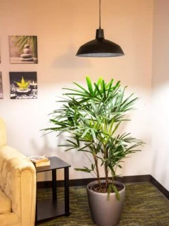 Barnyard Pendant LED Grow Light -Gardeners Sale Shop 8598025 0256