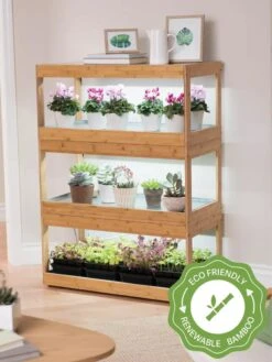 Bamboo LED Grow Light Garden For Succulents And Seeds