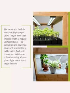 Bamboo LED Grow Light Garden For Succulents And Seeds -Gardeners Sale Shop 8598084 7