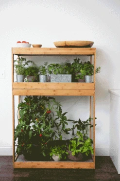 Bamboo Home LED Grow Light Garden -Gardeners Sale Shop 8598088 BambooLEDHomeGarden light gif