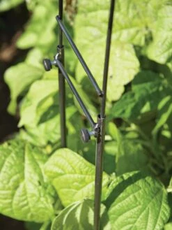 Adjustable Super Hoops, Set Of 3 -Gardeners Sale Shop 8598301 0640 tif