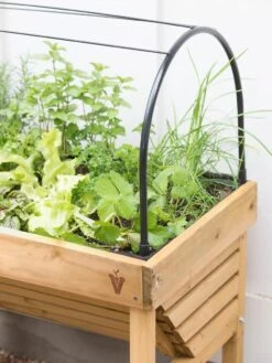 VegTrug® Mini Wallhugger Planter With Cover -Gardeners Sale Shop 8598339 4004 tif