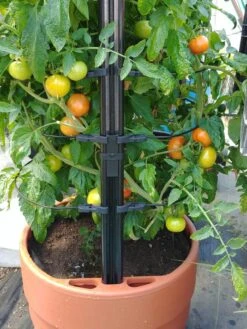 Gardener’s Victory Self-Watering Planter With Support System -Gardeners Sale Shop 8598384 01EMP tif