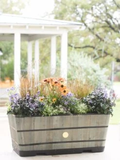 VegTrug™ Trough Planters -Gardeners Sale Shop 8598402 08880 tif