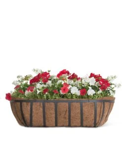 AquaSave™ Oxford Window And Deck Planters 6 AquaSave™ Oxford Window And Deck Planters -Gardeners Sale Shop 8598628 1000 tif