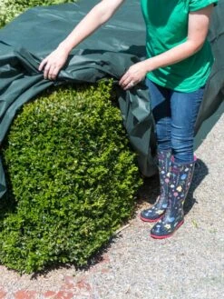 The Planket® Frost Protection Plant Cover, 10' X 20' -Gardeners Sale Shop 8599101 0929 tif