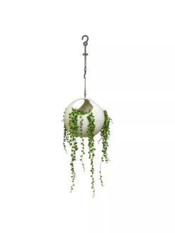 Exaco Euro Hanging Planters, Set Of 2 -Gardeners Sale Shop 8599179 06V tif