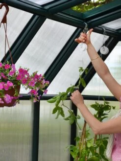 Canopia® By Palram Hobby Gardener Greenhouse, 8' -Gardeners Sale Shop 8599331 04V tif