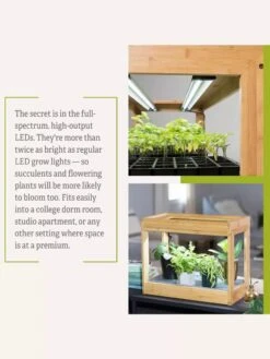 Bamboo Mini LED Grow Light Garden -Gardeners Sale Shop 8599624 06