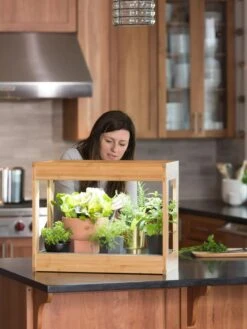 Bamboo Mini LED Grow Light Garden -Gardeners Sale Shop 8599624 12532 tif