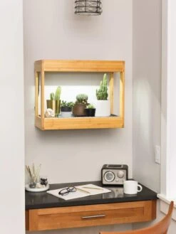 Bamboo Mini LED Grow Light Garden -Gardeners Sale Shop 8599624 12872 tif