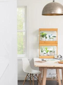 Bamboo Mini LED Grow Light Garden -Gardeners Sale Shop 8599624 13244 tif