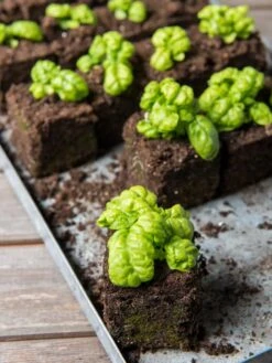 Soil Blocker, 4 Cell -Gardeners Sale Shop 8599790 1057 tif