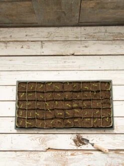 Paper Pots, 50 Cell -Gardeners Sale Shop 8599830 18489 tif