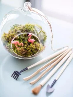 Terrarium Tools, Set Of 4 -Gardeners Sale Shop 8599884 01V tif