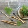 Terrarium Tools, Set Of 4
