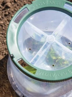 Sunny Forcing Cloches, Set Of 3 -Gardeners Sale Shop 8600075 0742 tif