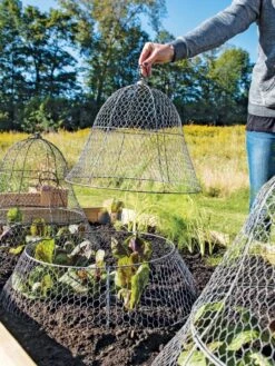 Chicken Wire Cloche With Extension 17 Chicken Wire Cloche With Extension -Gardeners Sale Shop 8600116 0604 3 4