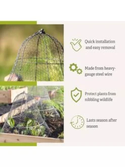 Chicken Wire Cloche With Extension 15 Chicken Wire Cloche With Extension -Gardeners Sale Shop 8600116 3