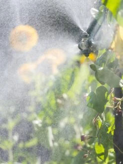 Landscape 4-Way Cooling Mist Kit, 50' -Gardeners Sale Shop 8600154 0695 tif