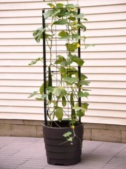 Gardener’s Victory Self-Watering Planter With Vine Trellis -Gardeners Sale Shop 8600177 9876 tif