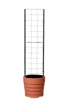 Gardener’s Victory Self-Watering Planter With Vine Trellis -Gardeners Sale Shop 8600178 7000 tif
