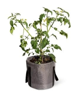 Reinforced Colorful Grow Bags -Gardeners Sale Shop 8600229 0944 tif