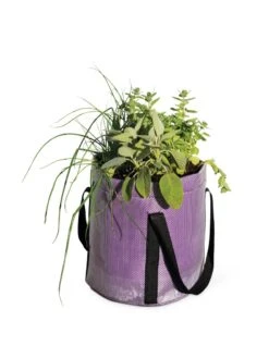 Reinforced Colorful Grow Bags -Gardeners Sale Shop 8600230 0948 tif