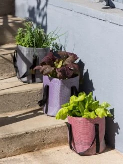 Reinforced Colorful Grow Bags -Gardeners Sale Shop 8600230 20001 tif