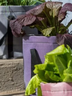 Reinforced Colorful Grow Bags -Gardeners Sale Shop 8600230 20013 tif