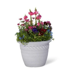 Cortina Self-Watering Planters -Gardeners Sale Shop 8600316 19838 tif