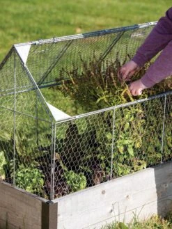 Chicken Wire Crop Coop -Gardeners Sale Shop 8609080 0187