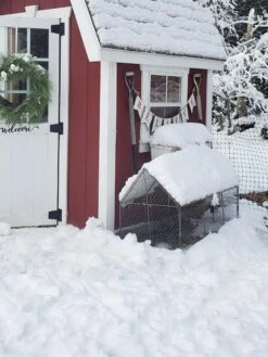 Chicken Wire Crop Coop -Gardeners Sale Shop 8609080 03IN tif