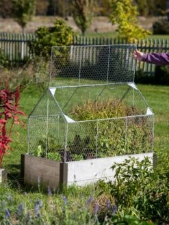 Chicken Wire Crop Coop -Gardeners Sale Shop 8609080 4024