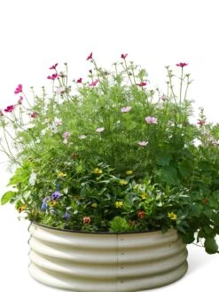 Birdies™ Round Metal Raised Bed -Gardeners Sale Shop 8609150 06525 tif