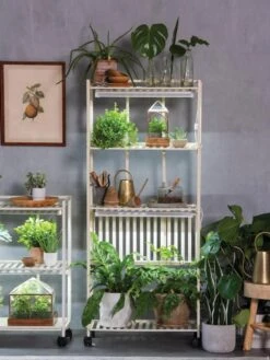 Oslo 4-Tier LED Grow Light Garden -Gardeners Sale Shop 8609188 4118 tif