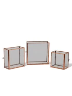 Copper And Glass Terrariums, Set Of 3 -Gardeners Sale Shop 8609212 0851 tif